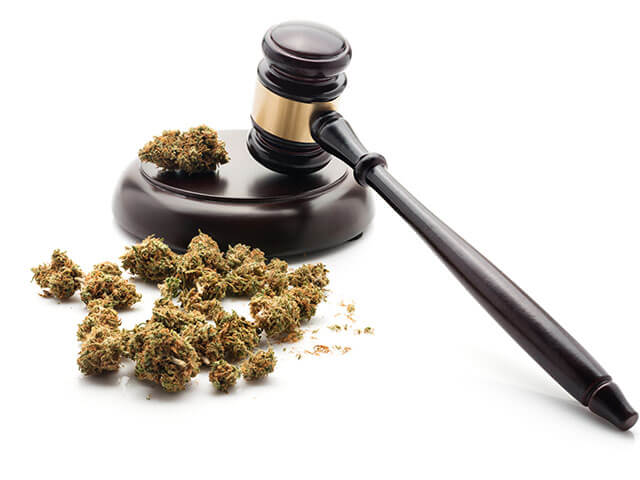 Cannabis Regulation Updates in California