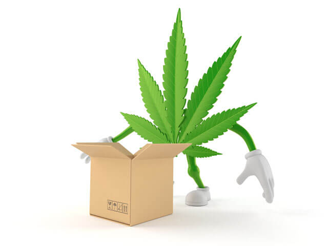 Cannabis Delivery