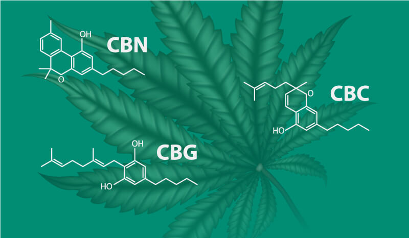The Other Cannabinoids: CBG, CBC, and CBN