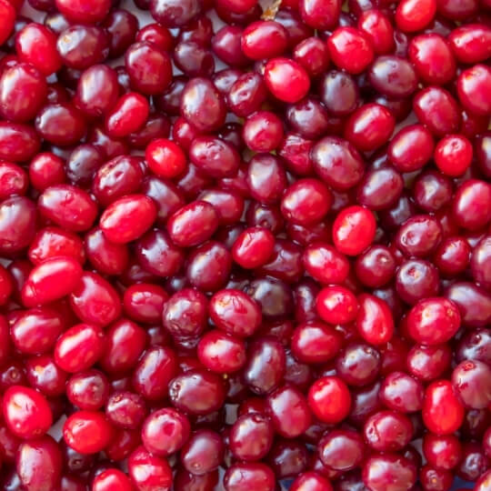 cranberry