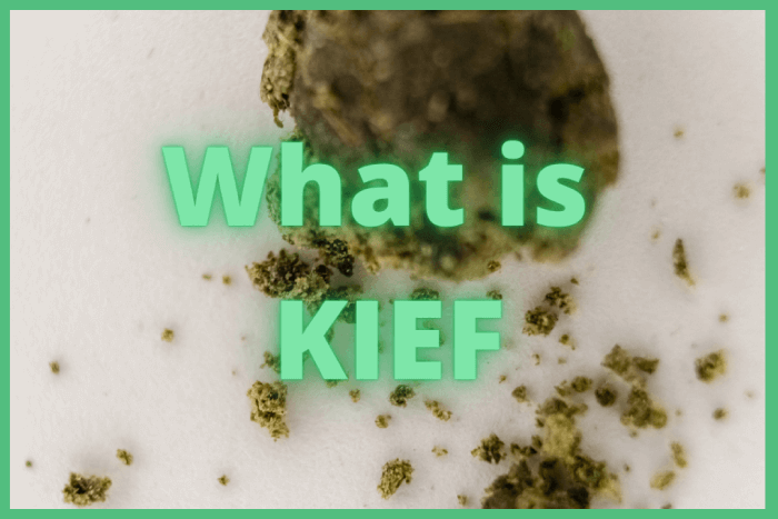 What is kief? Everything you need to know about cannabis kief