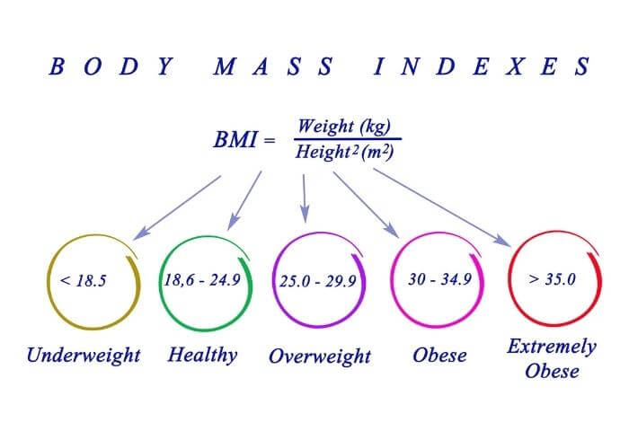 body mass index