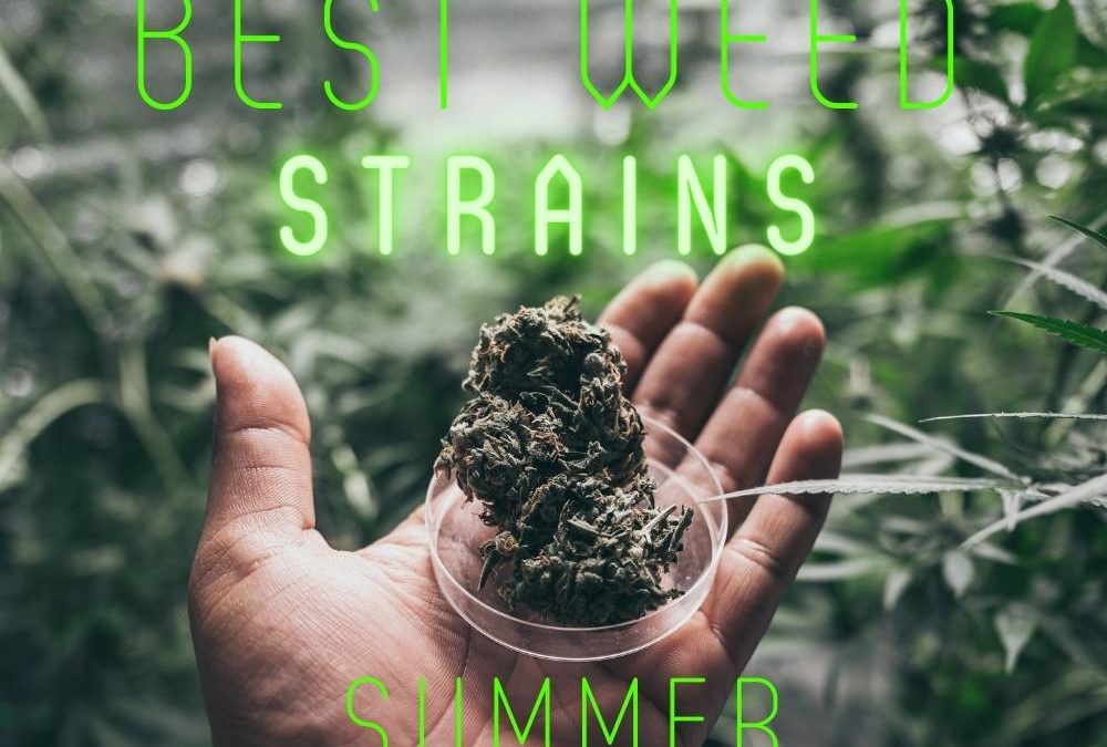 Best Weed Strains of Summer 2022