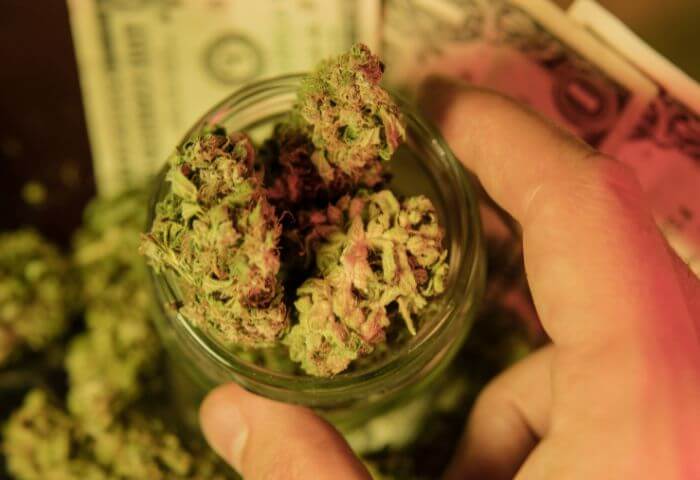 Quarter Pound in Grams? What Does it Mean in Weed Terminology