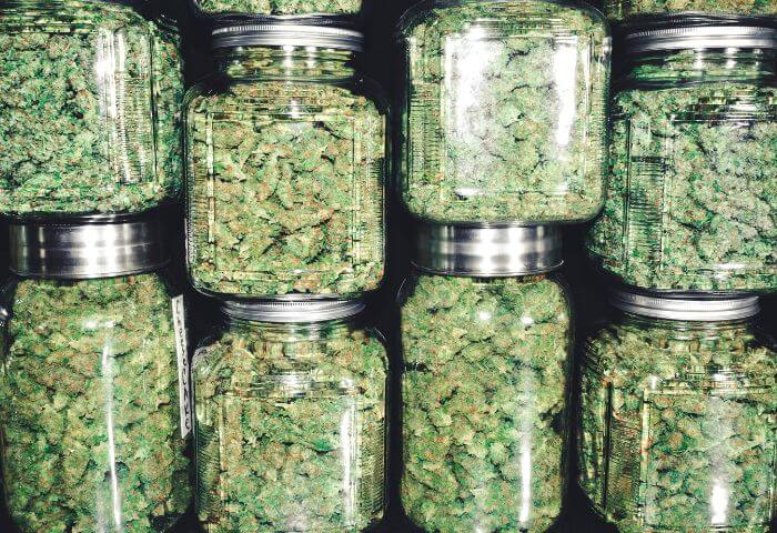 quarter-pound-in-grams-what-does-it-mean-in-weed-terminology