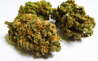 The Ultimate Guide to Lemon Haze: A Must-Try Sativa-Dominant Hybrid