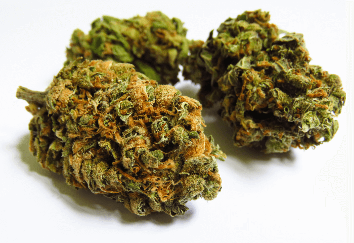 The Ultimate Guide to Lemon Haze: A Must-Try Sativa-Dominant Hybrid