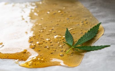 Beyond Buds: The Evolution, Benefits, and Risks of Weed Wax