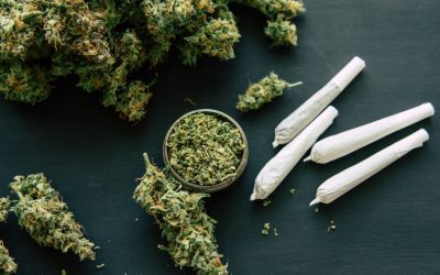 Navigating the Cannabis Market, How to Choose Quality Products